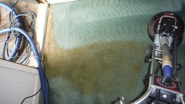 What a difference! Our carpet cleaning system is awesome!