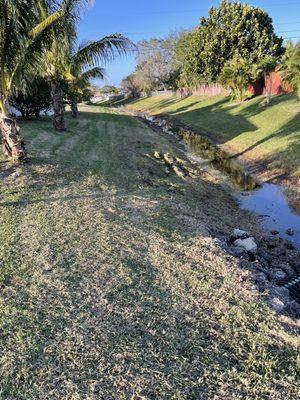 Mowing and trimming.