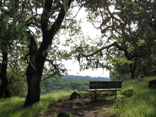 Bench with a view