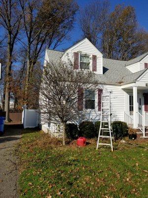 Before -- got tree and shrubs trimmed. Fabric and mulch. Front yard cleaned up.