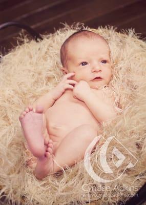 Newborn Photography