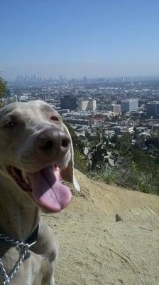 Chica enjoying the view after her hike