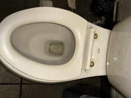 Broken and gross toilet seat