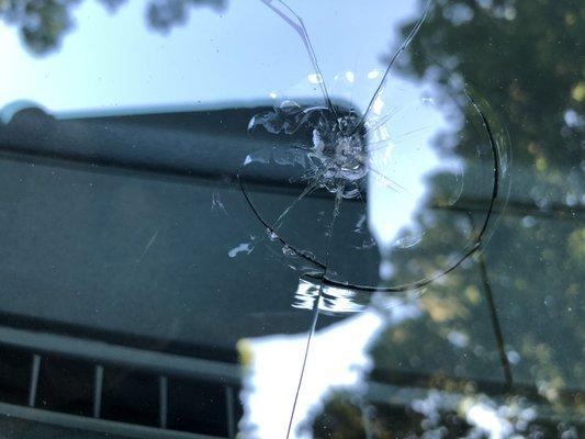 BUSTED WINDSHIELD BY JM ROLLOFF