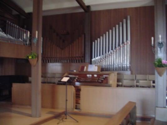 the organ