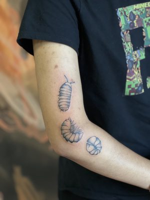 Isopod tattoo by Jesikah