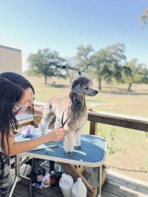 Angelick Paws Salon & Spa