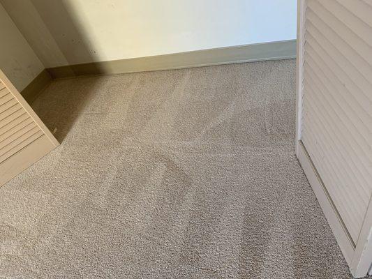 Kiwi Carpet Cleaning