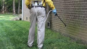 Nadeem, Spraying the Chemicals at the back yard to control the Houseflies