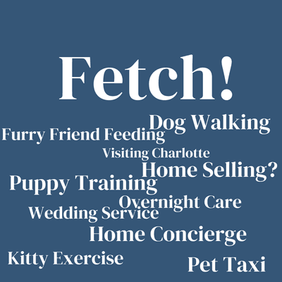 Pet Services Taxi Hospice Overnight Traveling Wedding