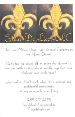 Fleur De Lice LLC flyer