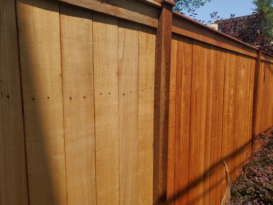 Cedar Fence Staining