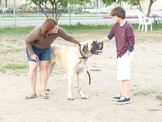 Dexter spending some time socializing Off-Leash.