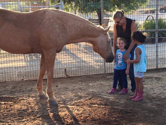 Horseshoe Ranch