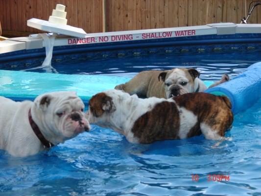 they are happy in the pool