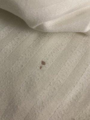 A blood stain on the sheets