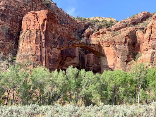 Finally! Arriving at Escalante Natural Bridge. Honestly, it wasn't so special looking.