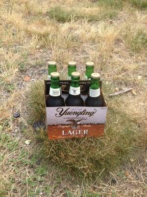 Yuengling Bottles Yes