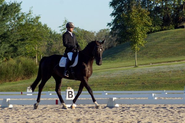 Rockland Stables