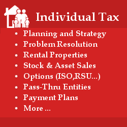 Individual Tax Services