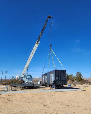 Yucca Crane