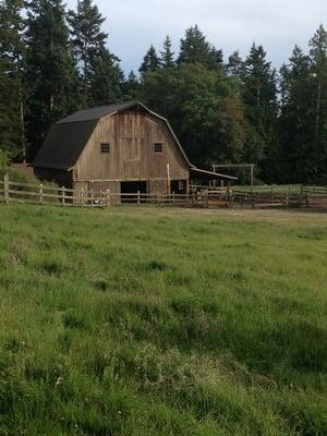 Barn at Turtlehead Farm.