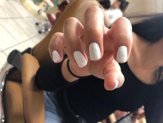 T & N Nails