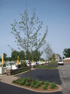 Harbor Landing Marina New Buffalo MI.