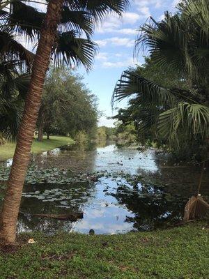 Canal view (no access) - park is fenced in