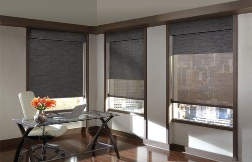 Hunter Douglas dual roller shades