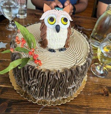 Eatable Owl Birthday Cake