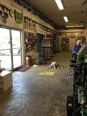 Gulf Coast Auto Parts