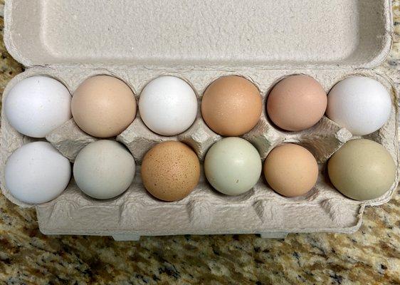 Colorful eggs!