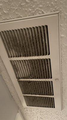 The air duct after a day. The rat behind the stove. The bedbugs all over my bed.