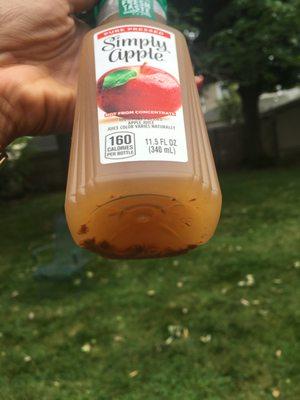 It wasn't until I reached my home when I realized what Subway in Roosevelt Field Mall gave me expired and growing apple juice.