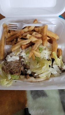 This is supposed to be a gyro plate with no lettuce, sauce on the side and 2 pitas. This mess looks like it's been chewed!