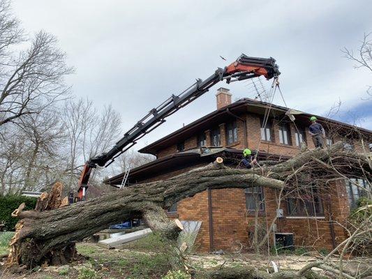 Tree removal from storm damage.