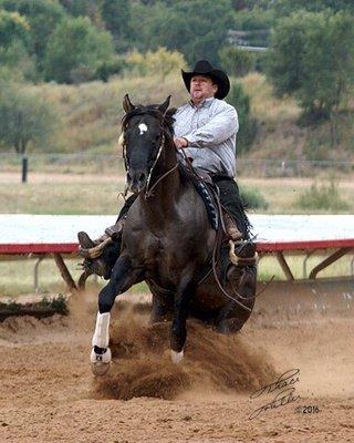 We train & teach the exciting sport of Reining, Ranch Riding, Working Cow Horse, Trail along with many other western disciplines.