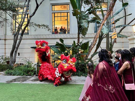 Lion performers dance to quinceañera and guests.