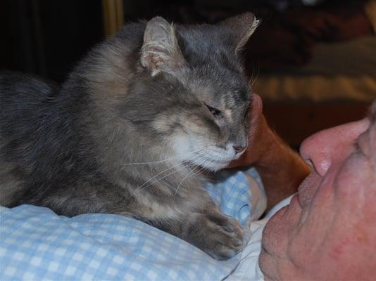 Sammy snuggling in bed with John