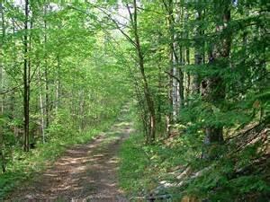 Forested land may or may not comprise wetlands