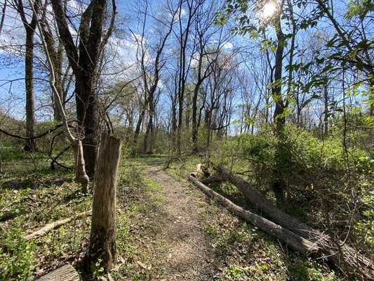 Walking trails located on campus allow our educators to bring curriculum and learning opportunities outdoors.