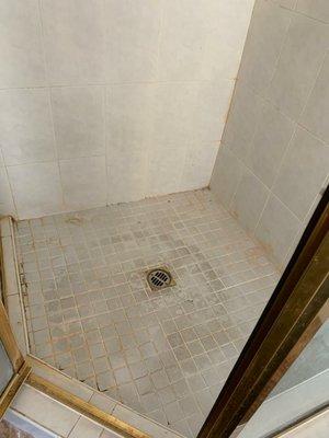 Shower stall almost past the point of no return!