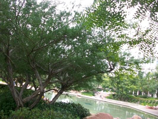 Reflection pond view.