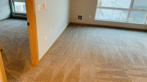 Carpet cleaning