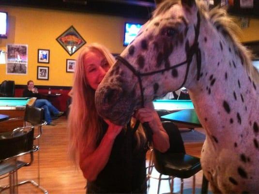 Who brought a horse in the bar?