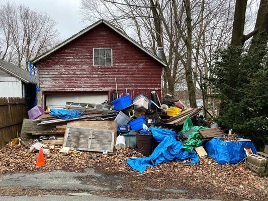 Yard clean up