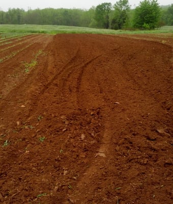 Prepping the fields