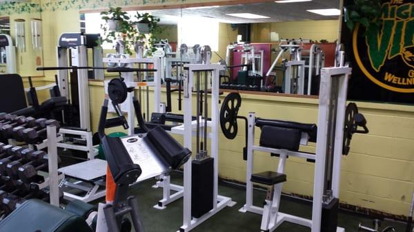 Free weights, ab coaster, Reflex equipment