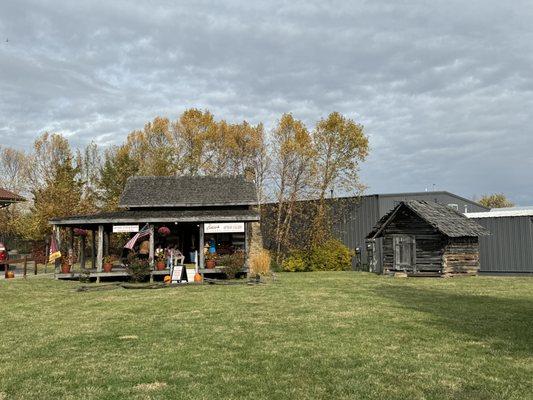 The Cabin of Old Town